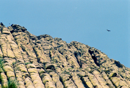 [Image was taken from the area immediately around the towering rock zoomed in on the detail at the top of the tower. There is a large bird flying in the sky over the tower. The tower rock is like hooking together a bunch of pencils only this rock was created naturally. ]